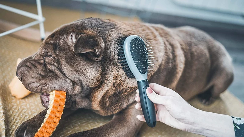 Vetocanis Spazzola Pneumatica Doppia Cane