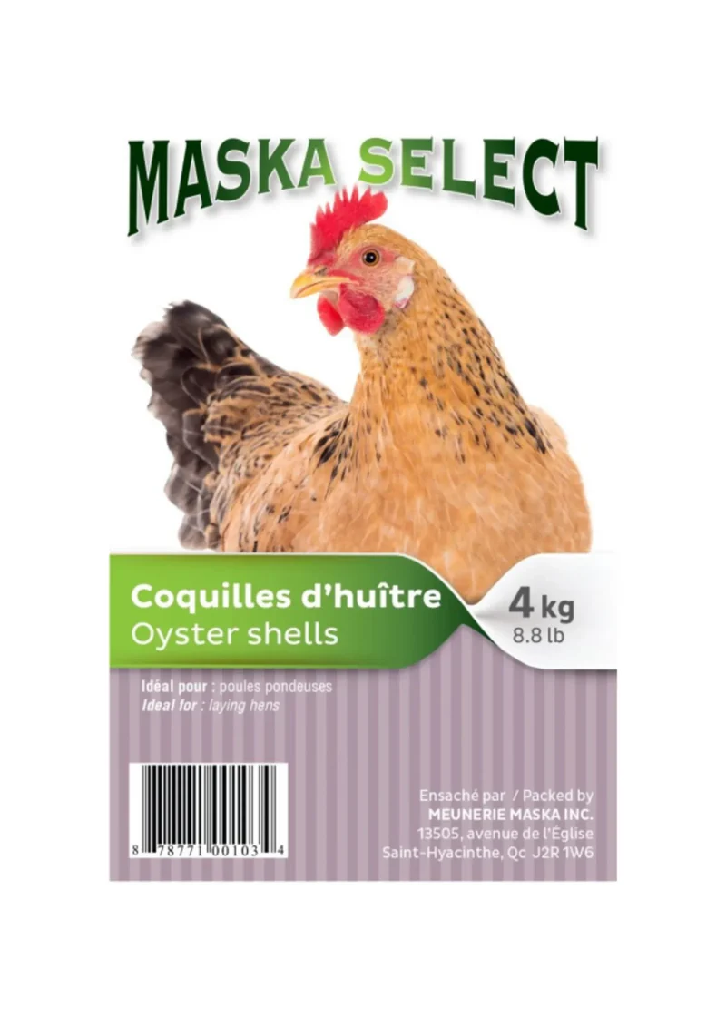 Écailles d’huître pour poules