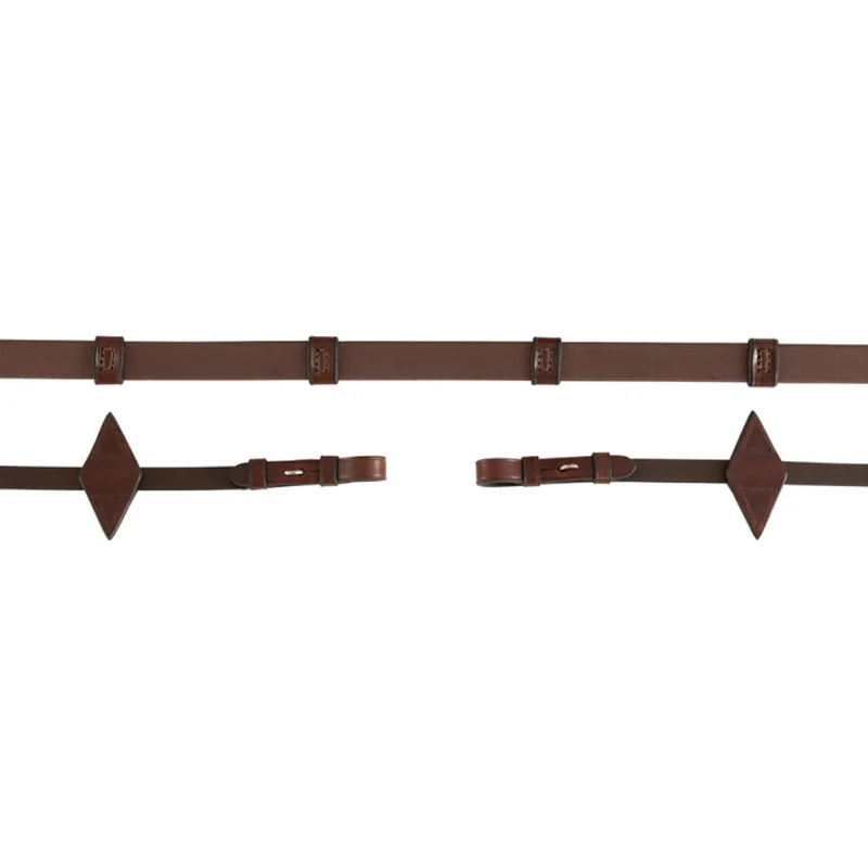 BR Rênes Biothane Cinderford Antidérapant Oak/Silver