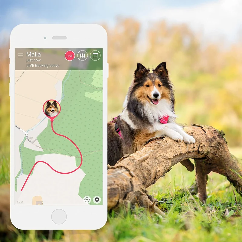 Localizzatore GPS Tractive per cani e gatti, impermeabile, adatto per ogni collare