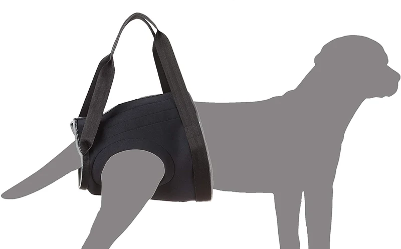 Julius-K9 Imbrago Riabilitativo - Anteriore