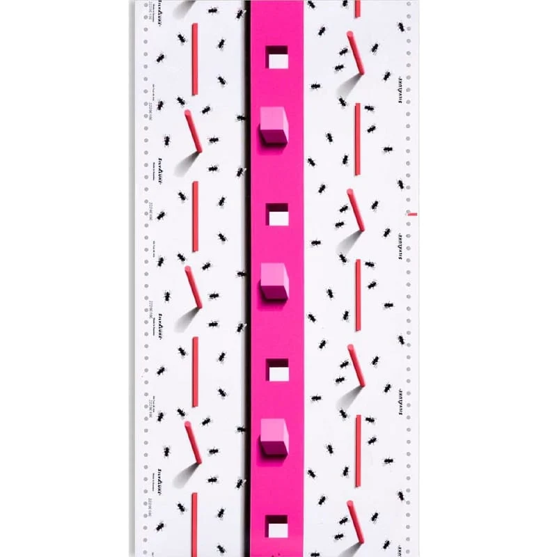 Feuilles attrape-mouches - Paquet de 6