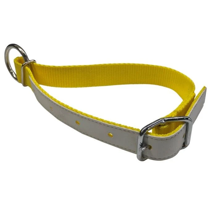 Collier pour ovin-caprin en nylon