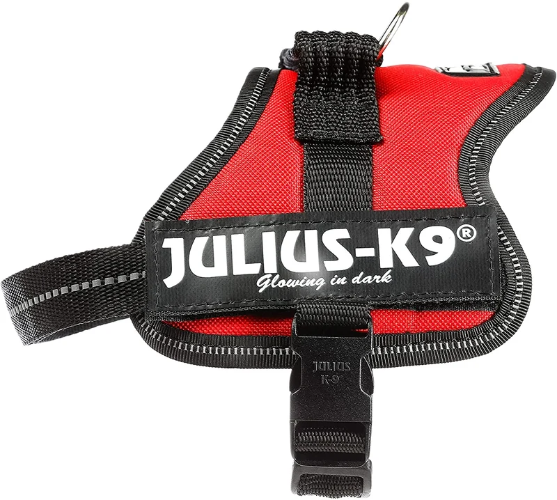 Julius-K9 Pettorina K9