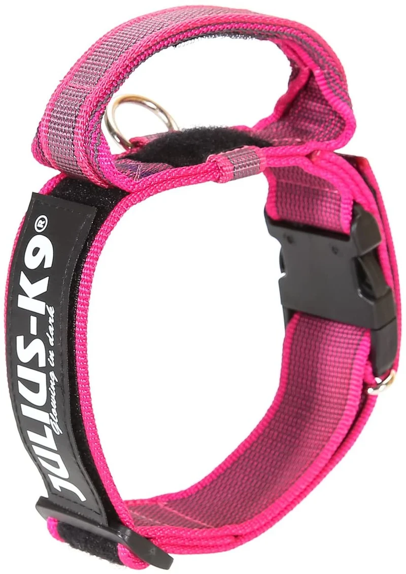 Julius-K9 Collare Color & Gray