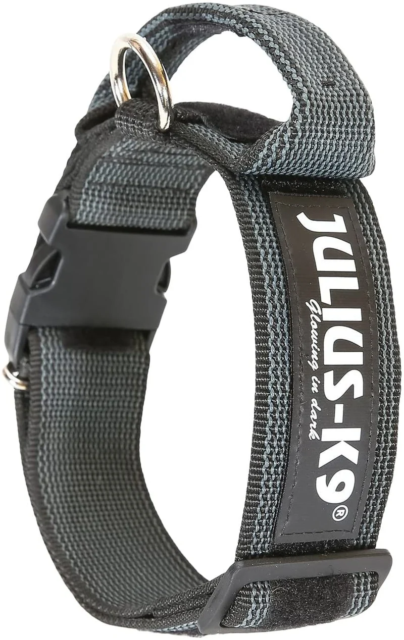 Julius-K9 Collare Color & Gray