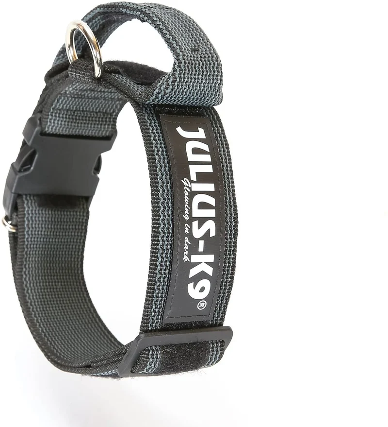 Julius-K9 Collare Color & Gray