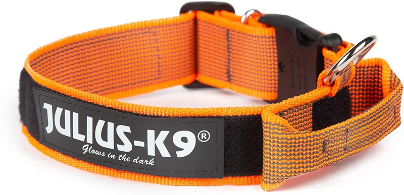 Julius-K9 Collare Color & Gray