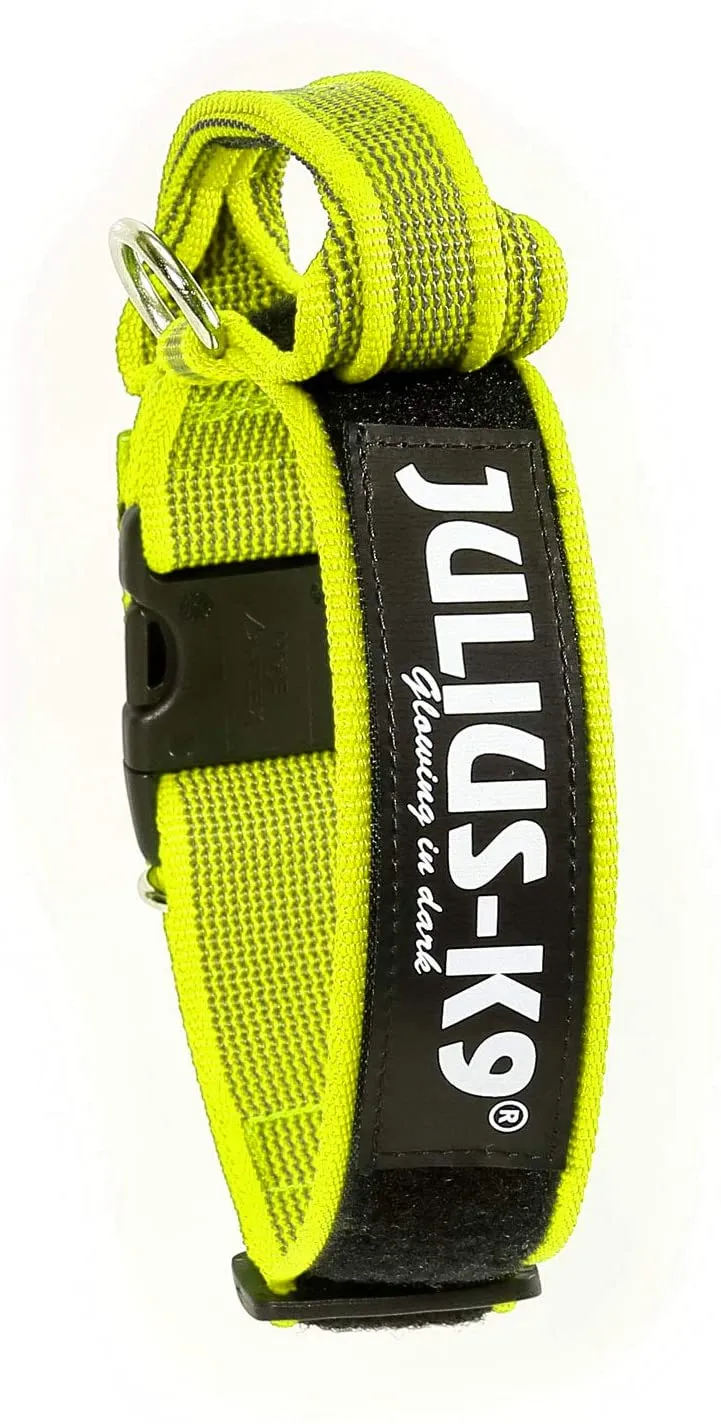 Julius-K9 Collare Color & Gray