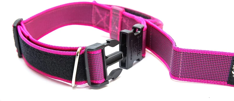 Julius-K9 Collare Color & Gray