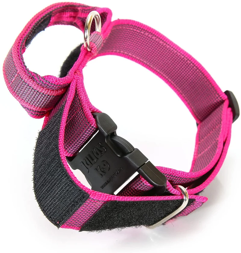 Julius-K9 Collare Color & Gray