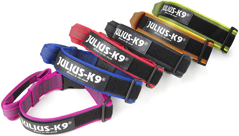 Julius-K9 Collare Color & Gray