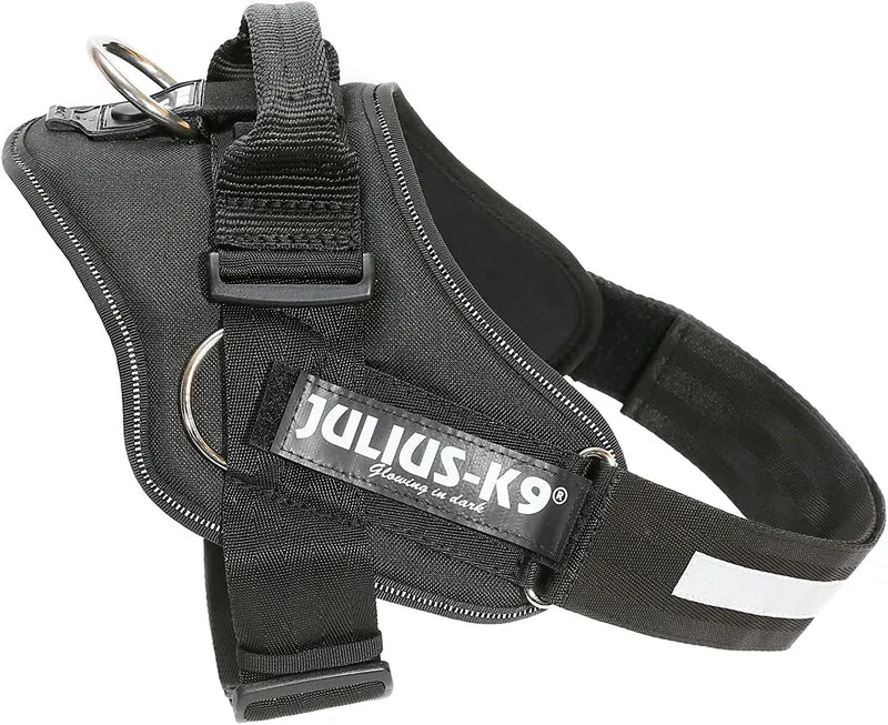 Julius-K9 harness