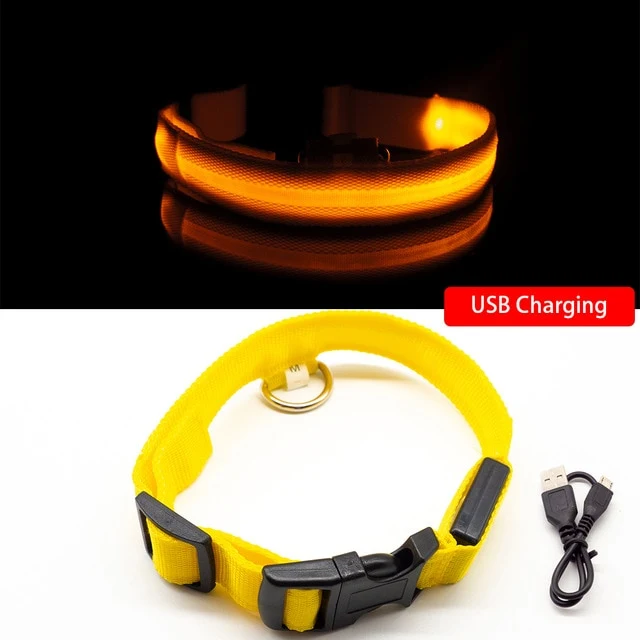 Collar for dogs USB Charging Led Anti-Lost/Avoid Car Accident / Collare per cani illuminato
