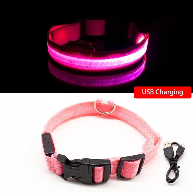 Collar for dogs USB Charging Led Anti-Lost/Avoid Car Accident / Collare per cani illuminato