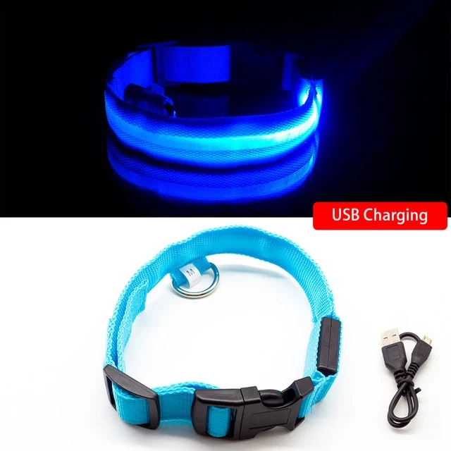 Collar for dogs USB Charging Led Anti-Lost/Avoid Car Accident / Collare per cani illuminato