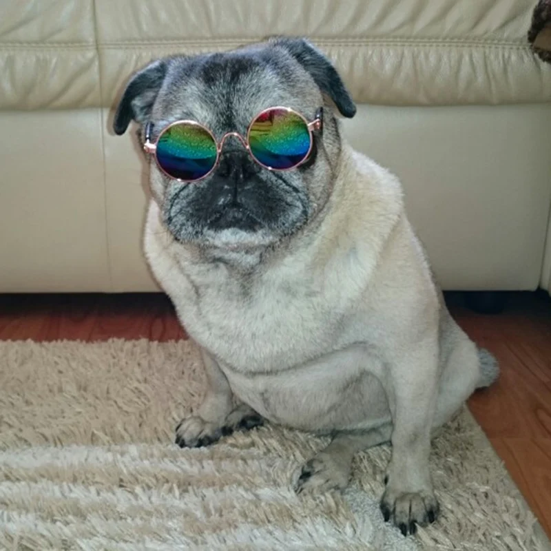 Ultra Cute and Funny Pet Sunglasses Classic Retro Circular Metal Prince Sunglasses for Cats or Small Dogs Fashion Costume