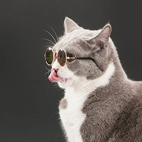Ultra Cute and Funny Pet Sunglasses Classic Retro Circular Metal Prince Sunglasses for Cats or Small Dogs Fashion Costume