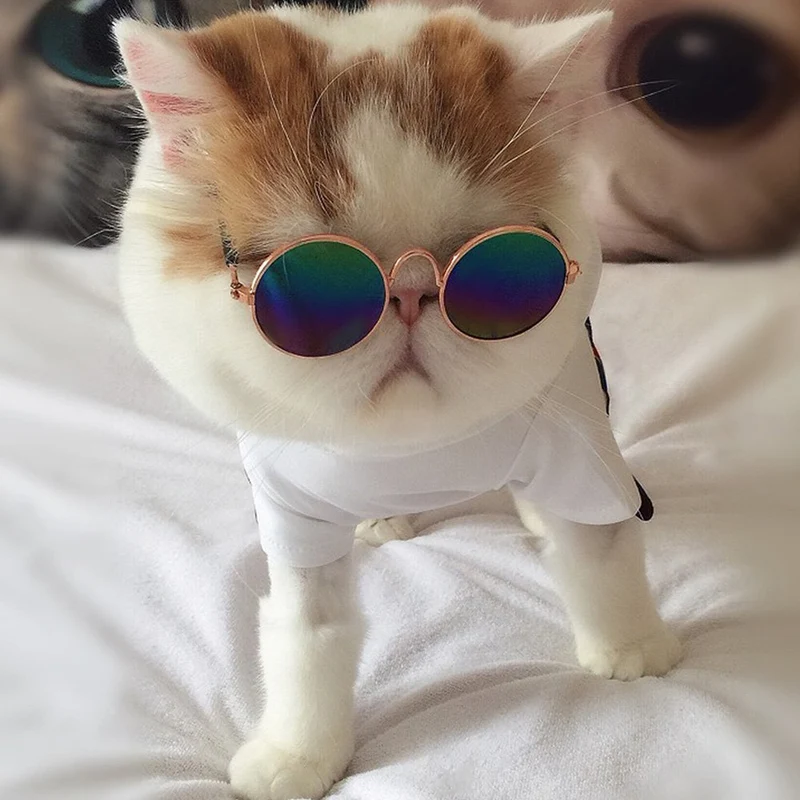 Ultra Cute and Funny Pet Sunglasses Classic Retro Circular Metal Prince Sunglasses for Cats or Small Dogs Fashion Costume