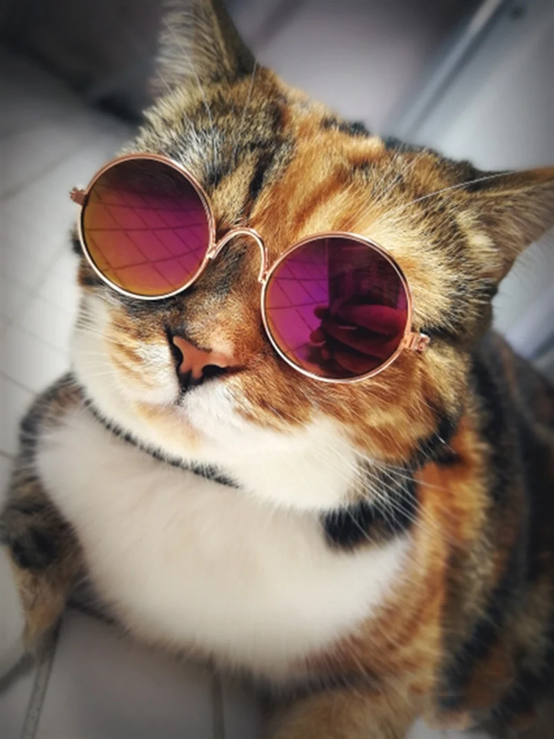 Ultra Cute and Funny Pet Sunglasses Classic Retro Circular Metal Prince Sunglasses for Cats or Small Dogs Fashion Costume