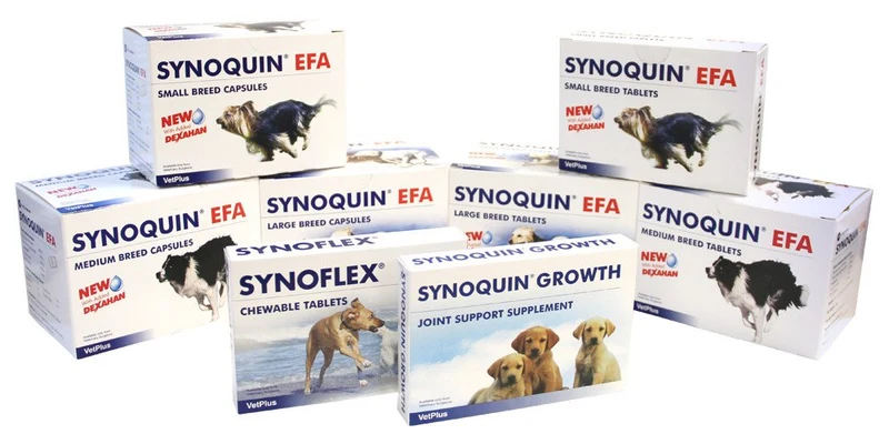 Synoquin EFA for All Breeds is a nutritional supplement to support joints in small dogs.
