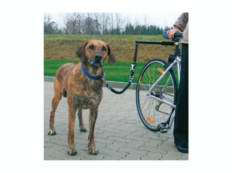 Safety Bike dog device