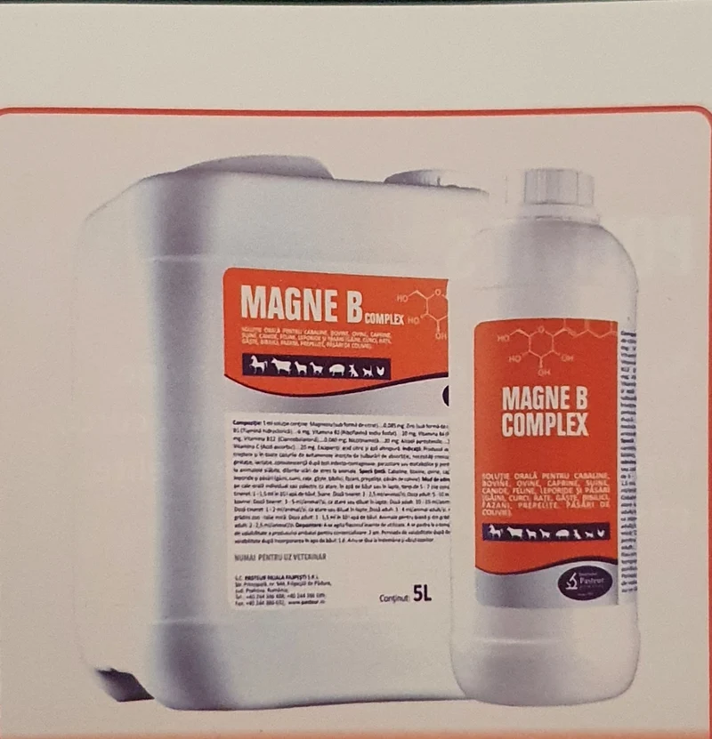 MAGNE B COMPLEX 1L ORAL SOLUTION FOR ALL FARM ANIMAL INCLUDING HORSES