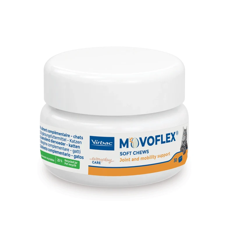 Movoflex chat