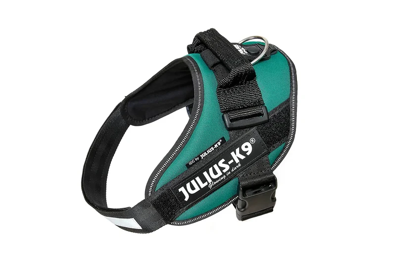 IDC Power Dog Harness Julius K9, DARK GREEN / Pettorina Julius k9 per cani
