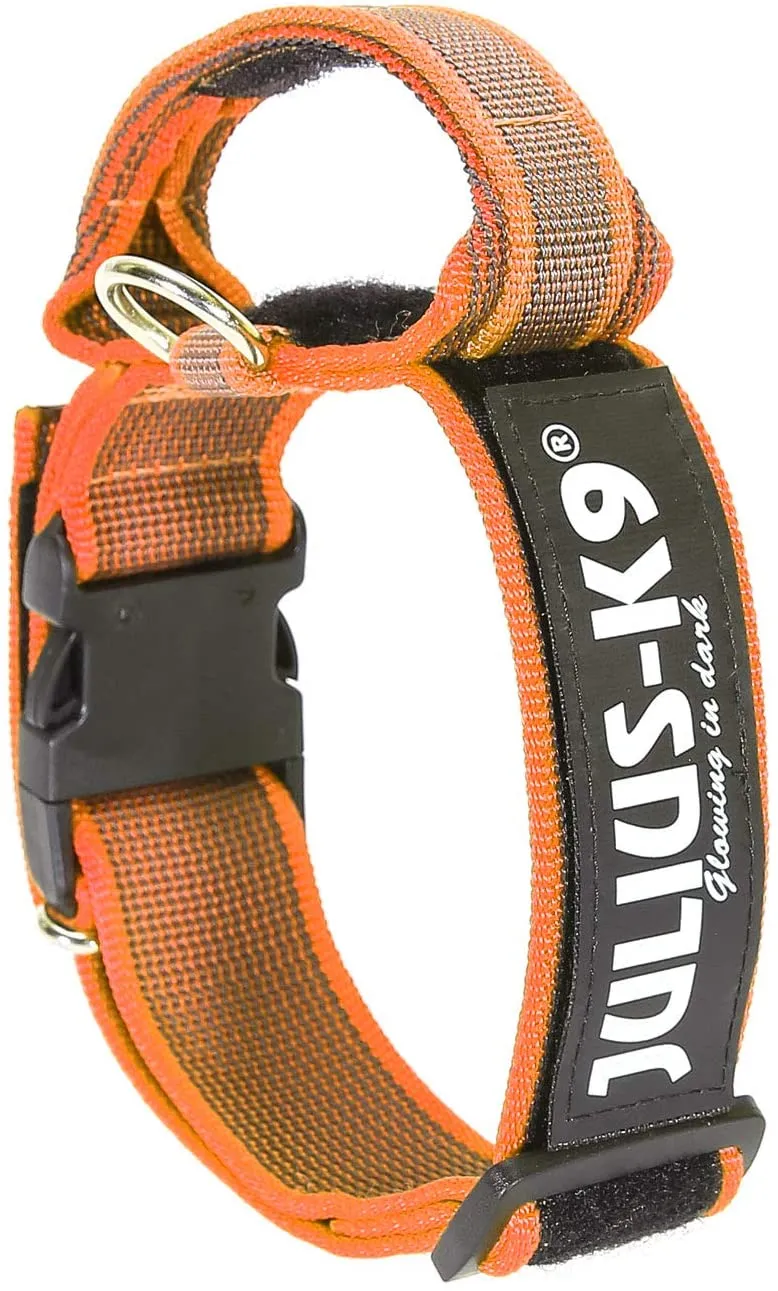 Julius K9 Nylon collar for dogs with handle and safety, Orange