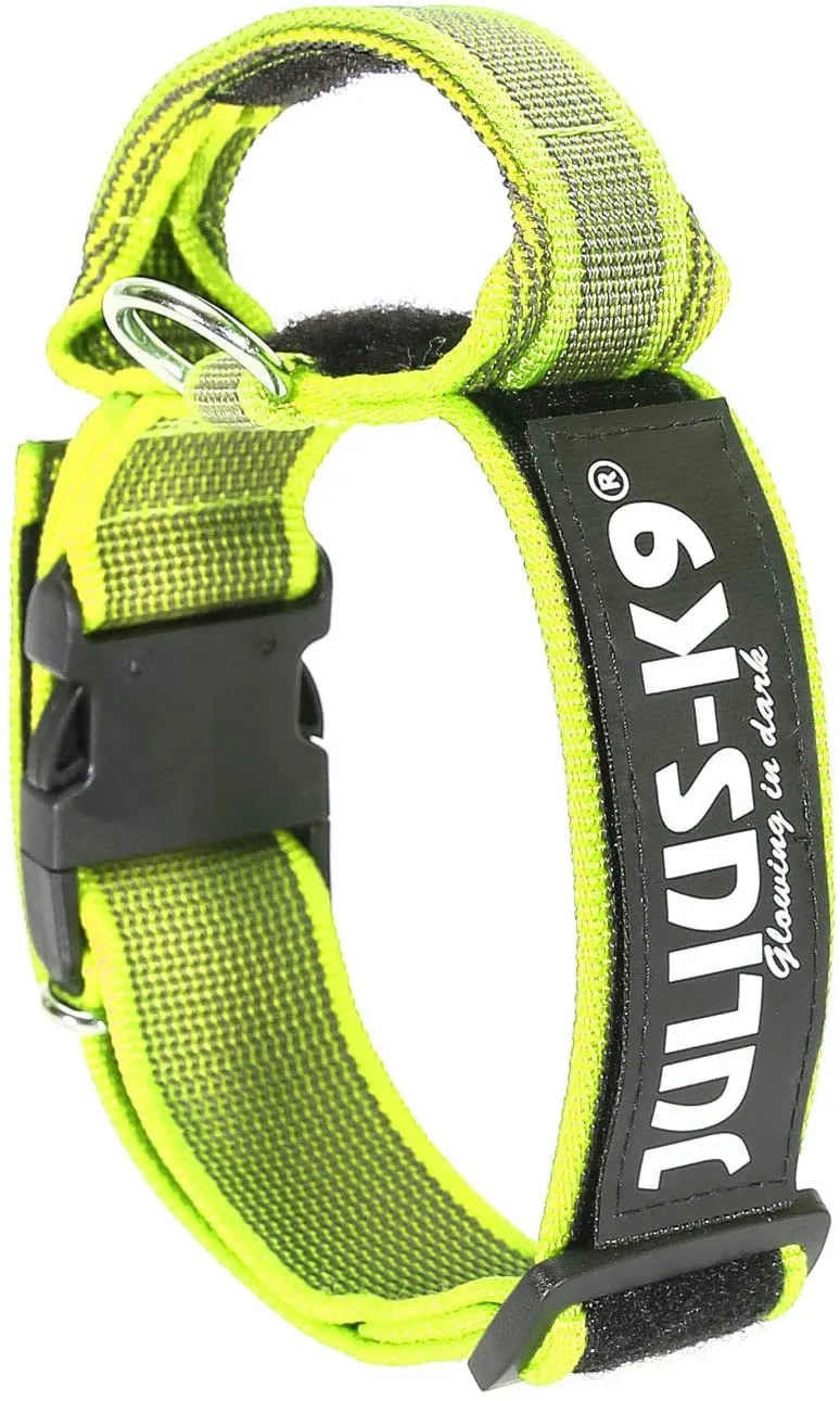 Julius K9 Nylon collar for dogs with handle and safety, Neon