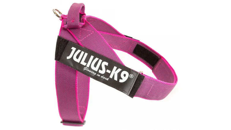 Julius k9 IDC band harness for dogs