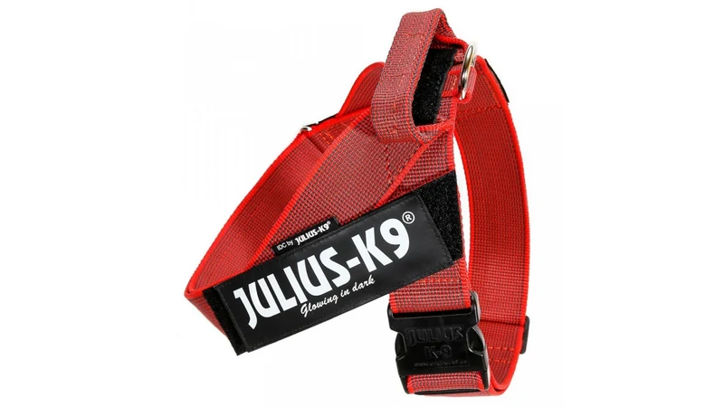 Julius k9 IDC band harness for dogs