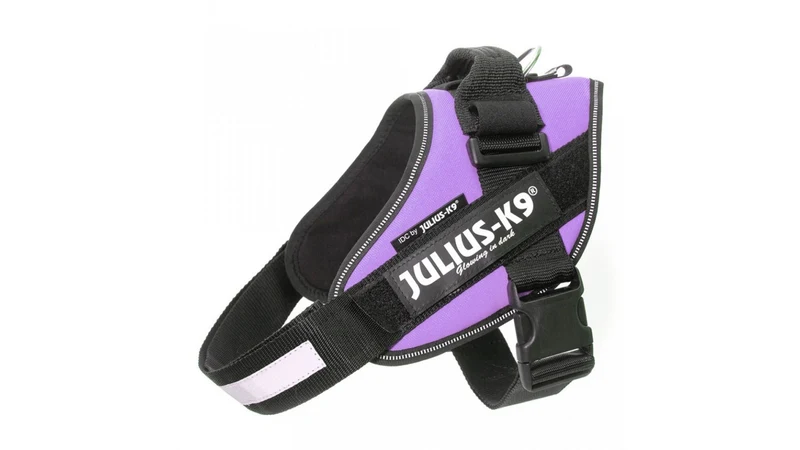 IDC Power Dog Harness Julius K9, Purple / Pettorina Julius k9 per cani