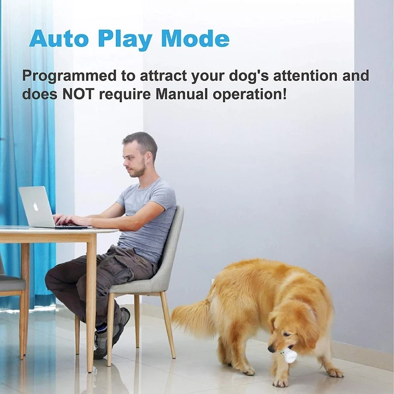 Wickedbone Interactive & Automatic Dog Bone, Gaming Toy for Dogs and Puppies