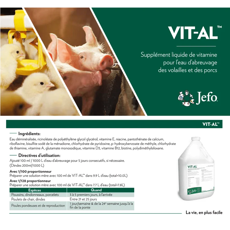 Supplément de vitamines liquides - Vit-Al 4L