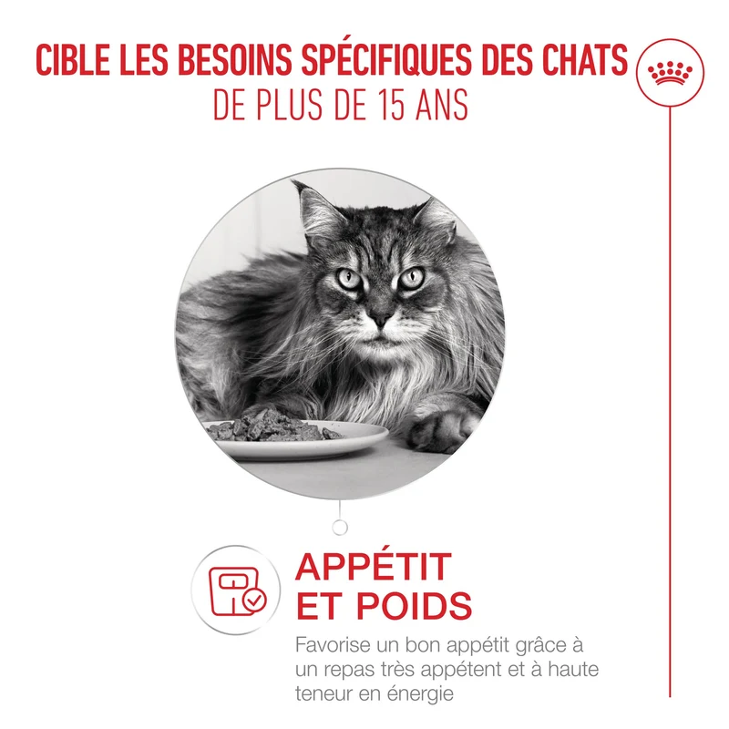 Royal Canin Ageing 15+ - pâtée chat