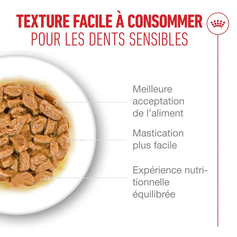 Royal Canin Ageing 15+ - pâtée chat