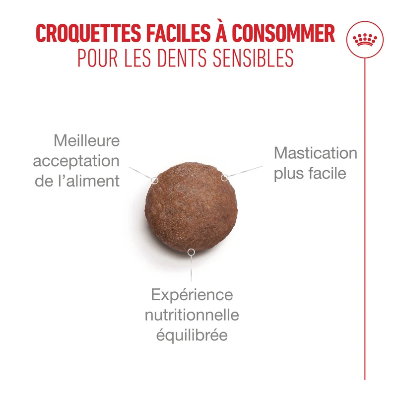 Royal Canin Ageing 15 + - croquettes chat