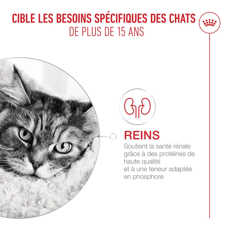 Royal Canin Ageing 15 + - croquettes chat