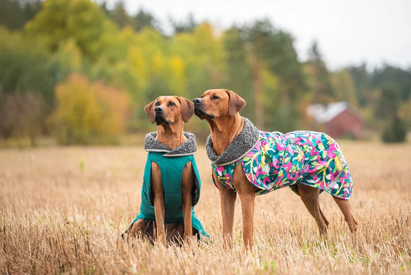 Pomppa Toppa Forest manteau imperméable doublé pour chien
