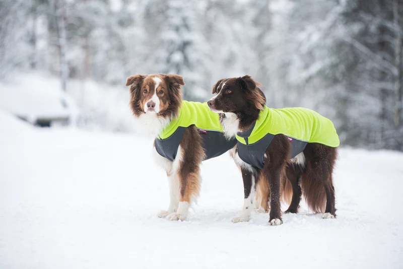 Pomppa Jumppa manteau polaire Lime chien