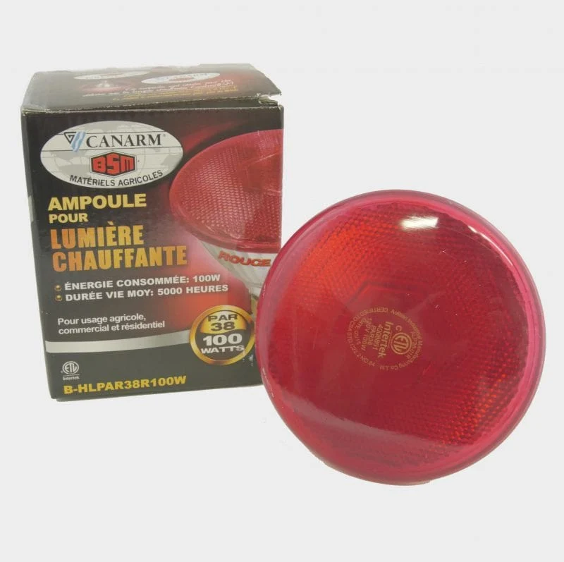 Ampoule 100W - Canarm