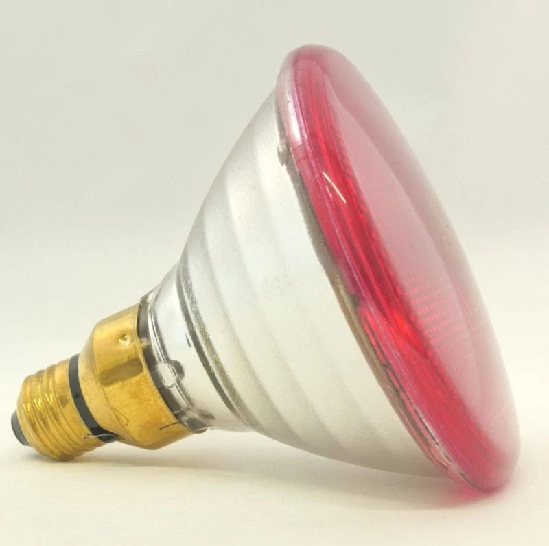 Ampoule 100W - Canarm