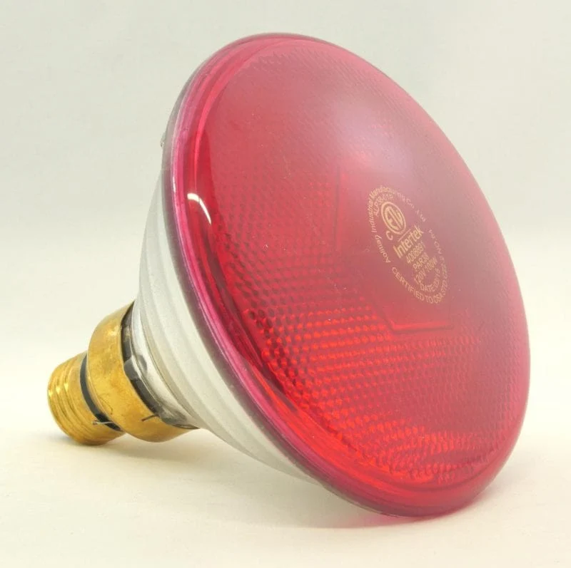 Ampoule 100W - Canarm