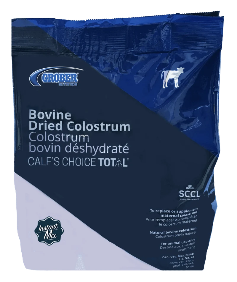 Colostrum pour veau