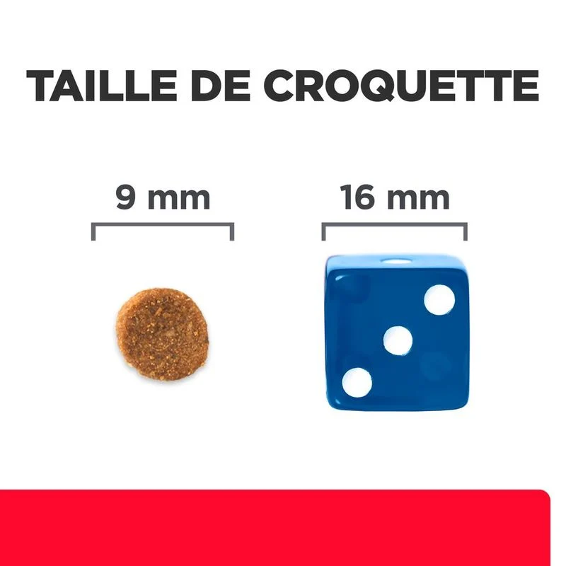 Hill's Prescription Diet Gastrointestinal Biome Stress - croquettes chat