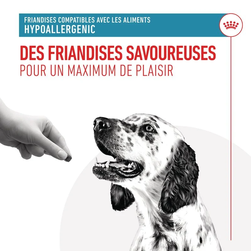 Royal Canin Hypoallergenic Treats chien