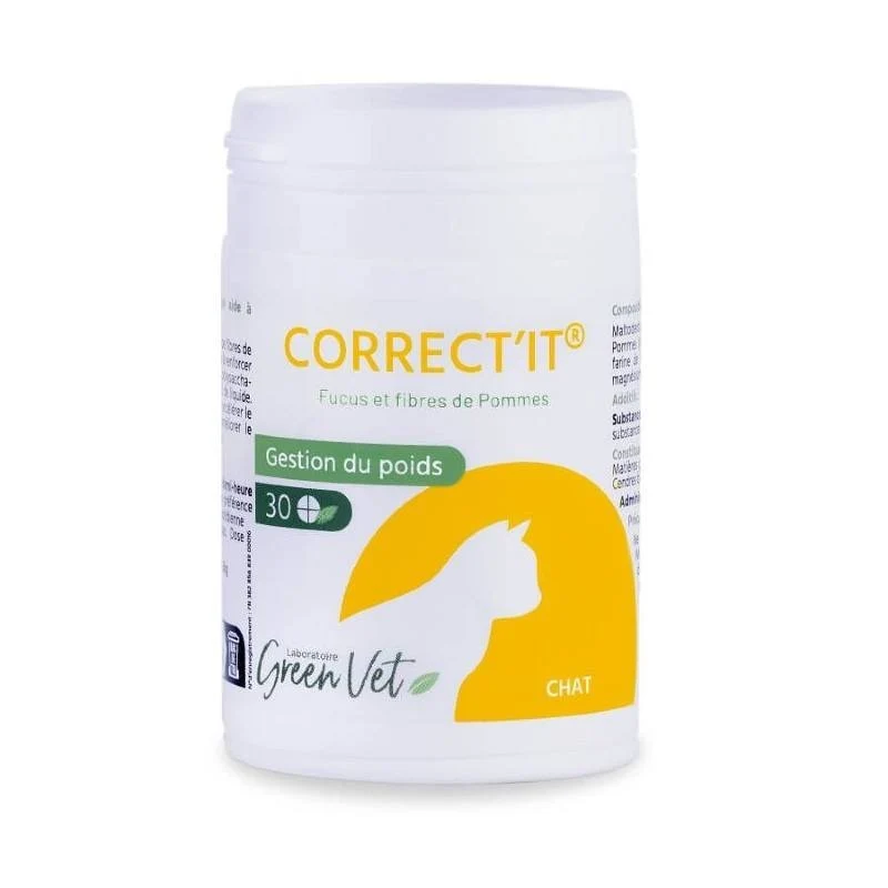Correct'it Chat