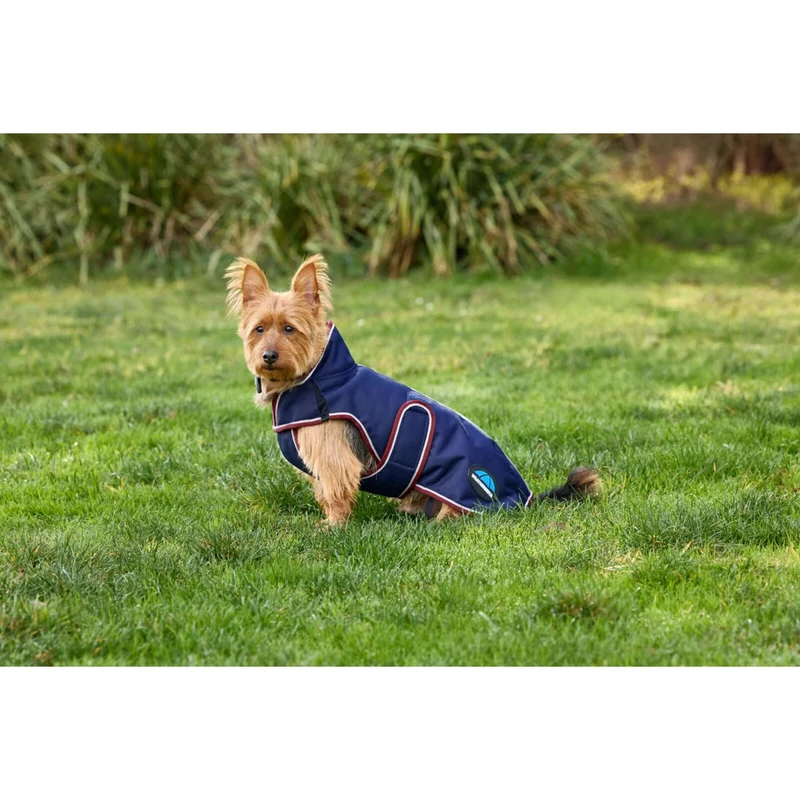 WeatherBeeta Couverture pour Chien ComFiTec Premier Deluxe Waterproof Marine/Bordeaux